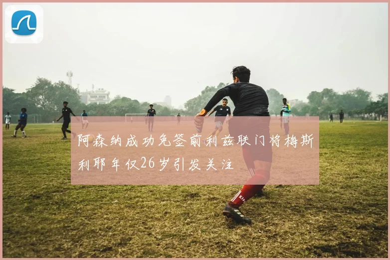 阿森纳成功免签前利兹联门将梅斯利耶年仅26岁引发关注
